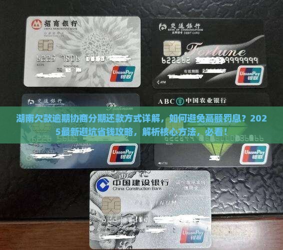 湖南欠款逾期协商分期还款方式详解 湖南欠款逾期协商分期还款方式详解