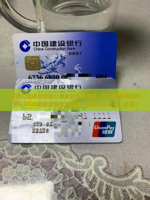 湖南欠款逾期协商分期还款方式详解 湖南欠款逾期协商分期还款方式详解