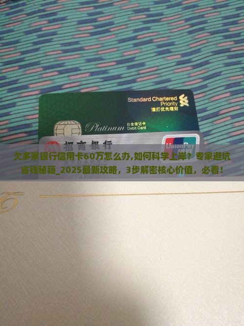 欠多家银行信用卡60万怎么办 欠多家银行信用卡60万怎么办