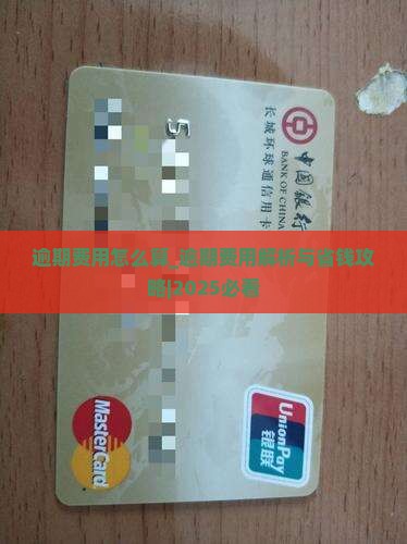羊小咩逾期费用怎么算