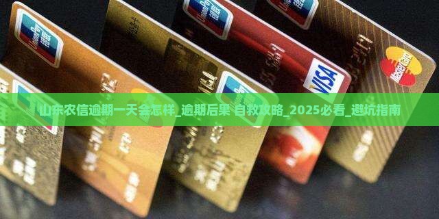 山东农信逾期一天会怎样
