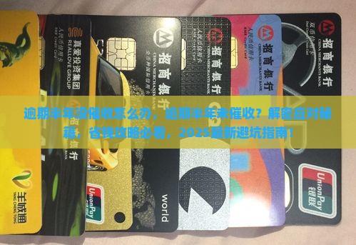 逾期半年没催收怎么办