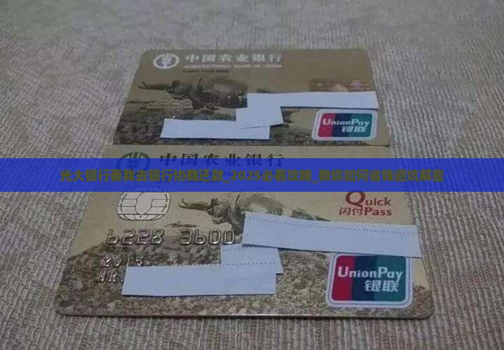 光大银行要我去银行协商还款怎么办