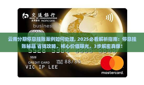 云南分期停息挂账案例如何处理