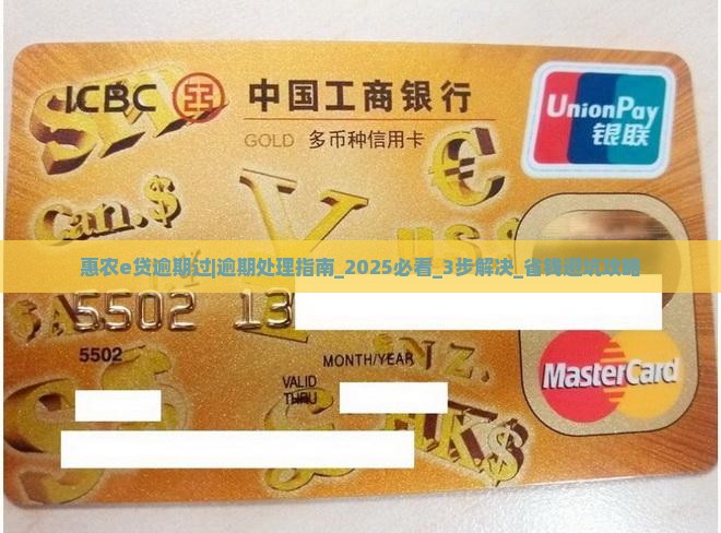 惠农e贷逾期过怎么办