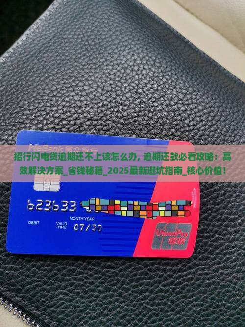 招行闪电贷逾期还不上该怎么办