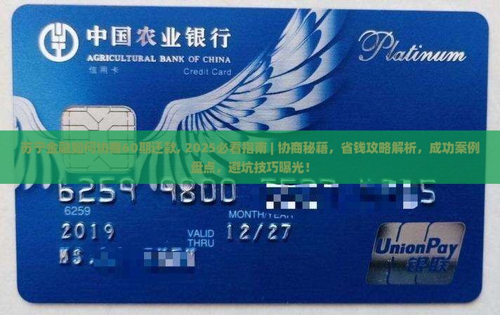 苏宁金融如何协商60期还款