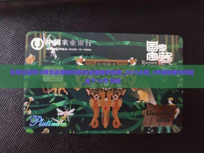石家庄信用卡网贷逾期如何解决