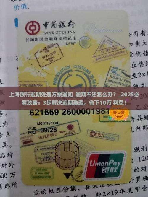上海银行逾期处理方案通知及相关流程说明