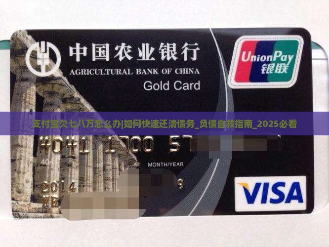 支付宝欠七八万怎么办