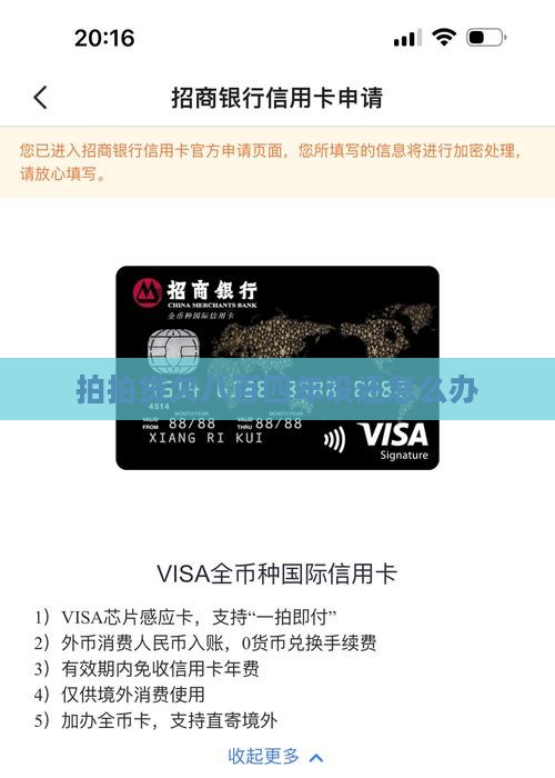 拍拍贷欠八百四年没还怎么办
