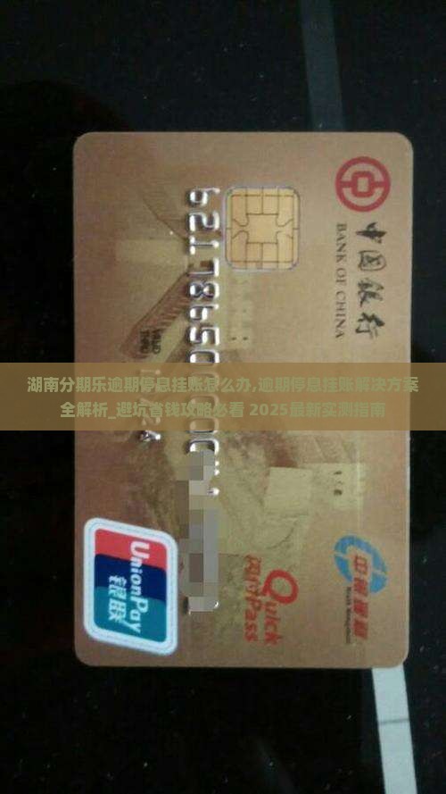 湖南分期乐逾期停息挂账怎么办