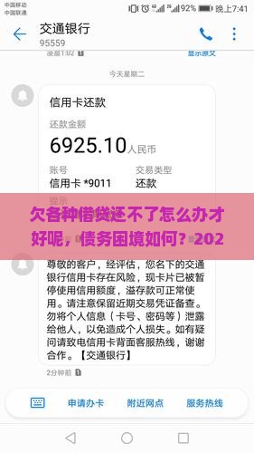 欠各种借贷还不了怎么办才好呢