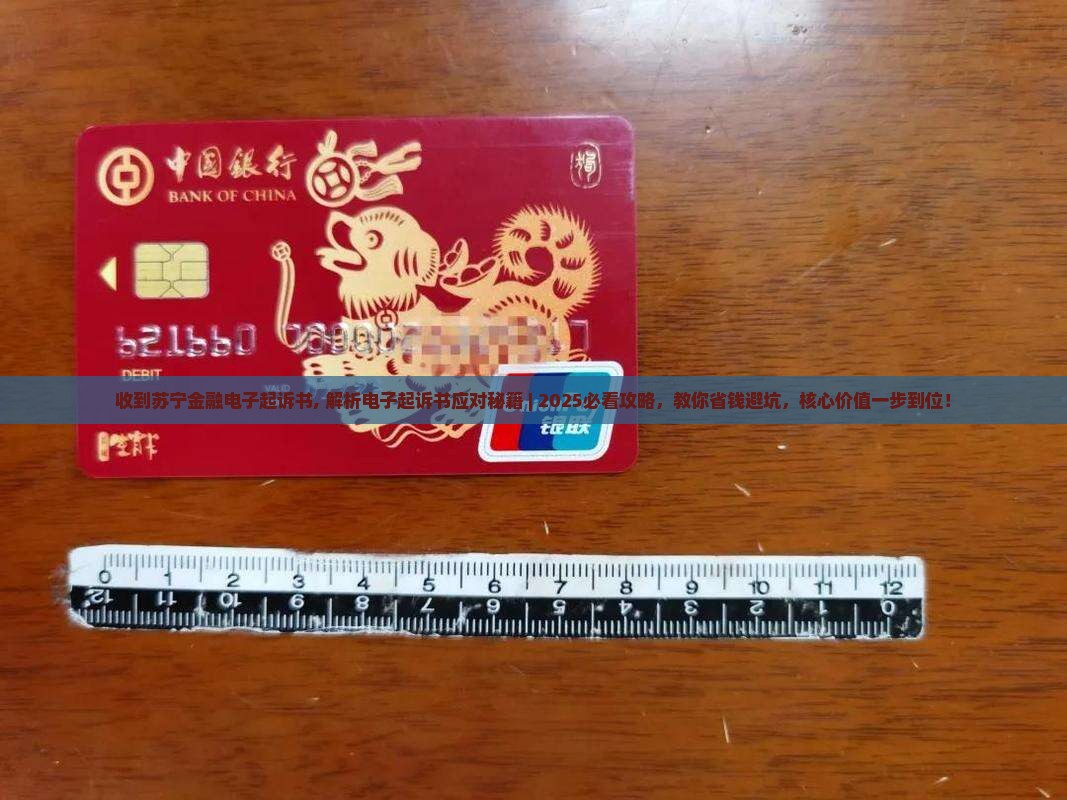 收到苏宁金融电子起诉书