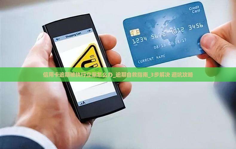 信用卡逾期被执行立案怎么办