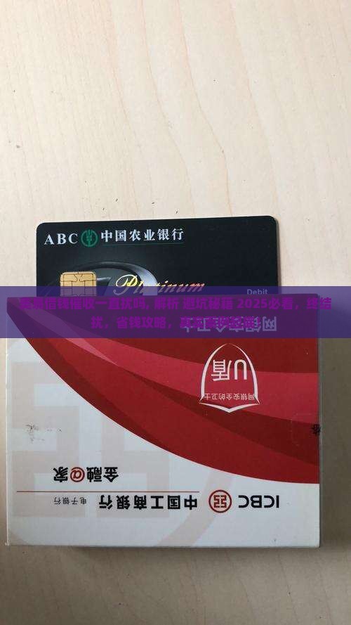 美易借钱催收一直骚扰吗