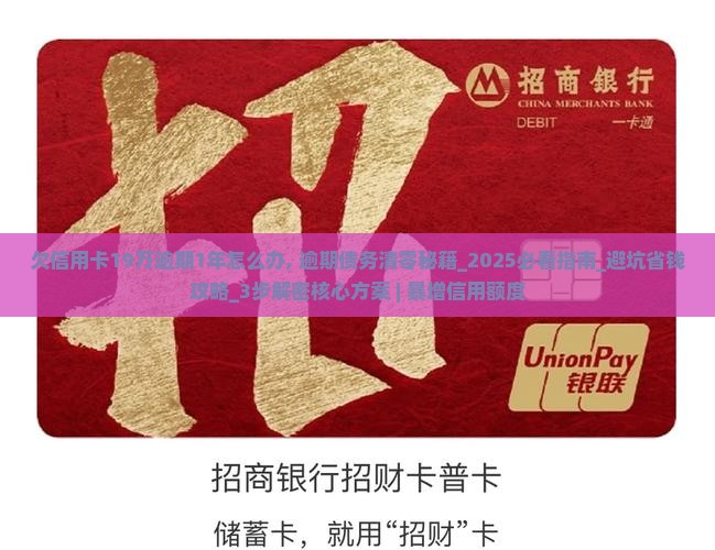 欠信用卡19万逾期1年怎么办 欠信用卡19万逾期1年怎么办