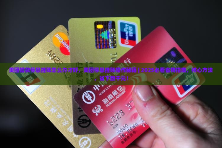 美团借款停息挂账怎么办才好