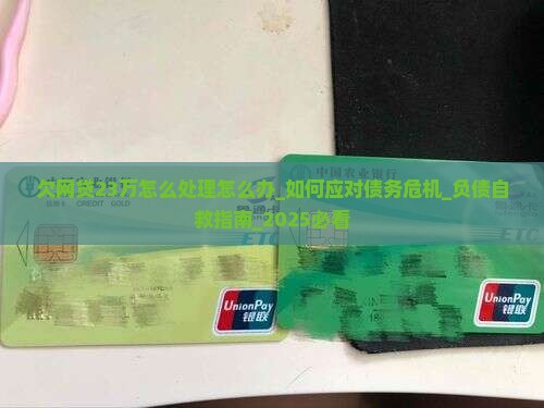 欠网贷23万怎么处理怎么办