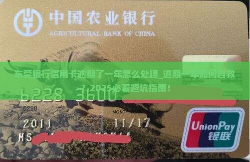 东莞银行信用卡逾期了一年怎么处理