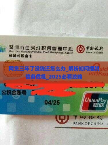 网贷三年了没钱还怎么办