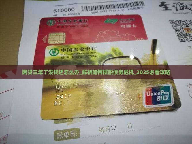 网贷三年了没钱还怎么办