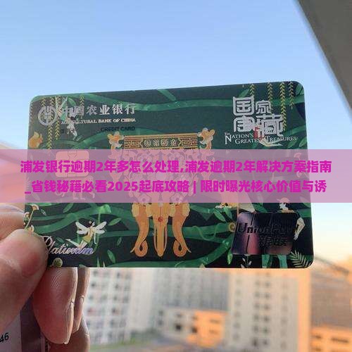 浦发银行逾期2年多怎么处理