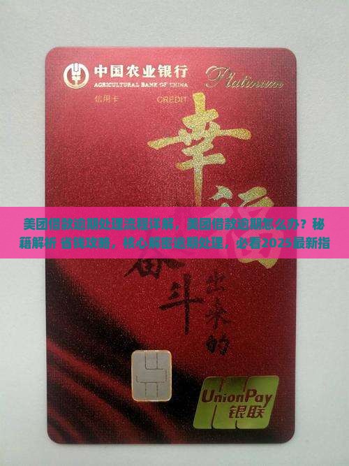 美团借款逾期处理流程详解