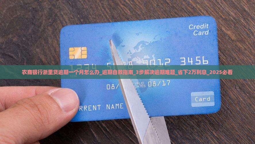 农商银行浙里贷逾期一个月怎么办