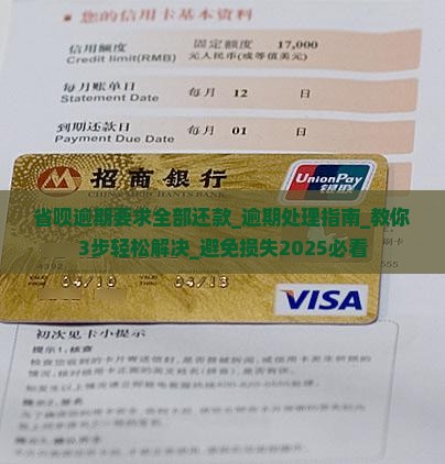省呗逾期要求全部还款怎么办