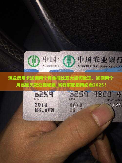 浦发信用卡逾期两个月金额比较大如何处理