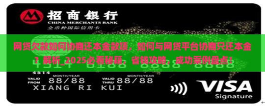 网贷欠款如何协商还本金款项
