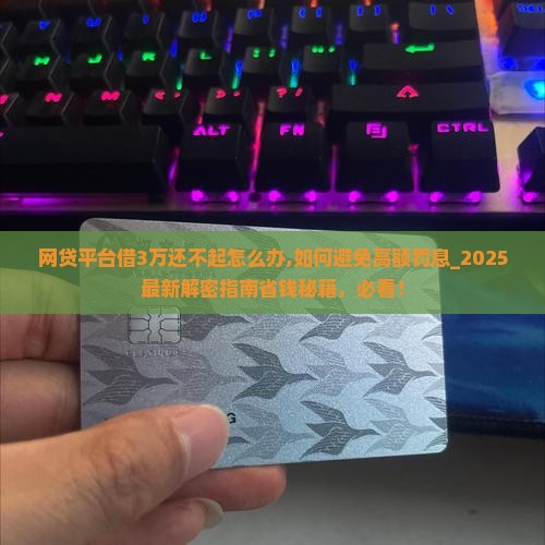 网贷平台借3万还不起怎么办