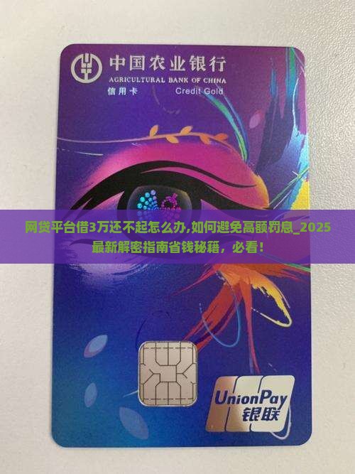网贷平台借3万还不起怎么办