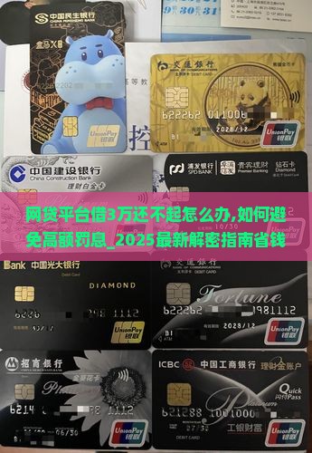 网贷平台借3万还不起怎么办