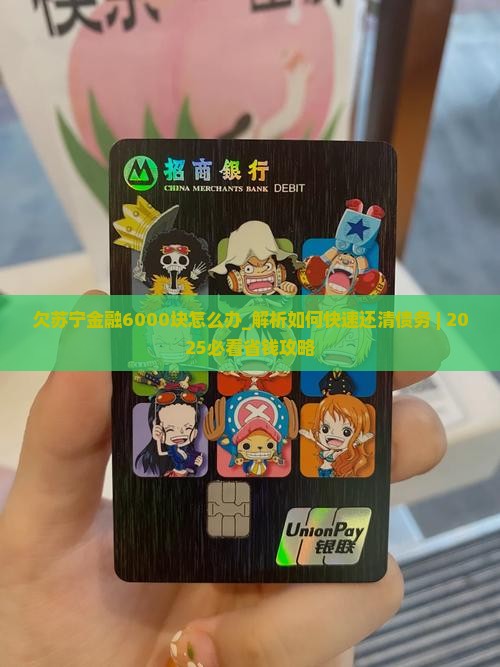 欠苏宁金融6000块怎么办