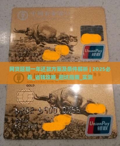 网贷延期一年还款方案及条件解析