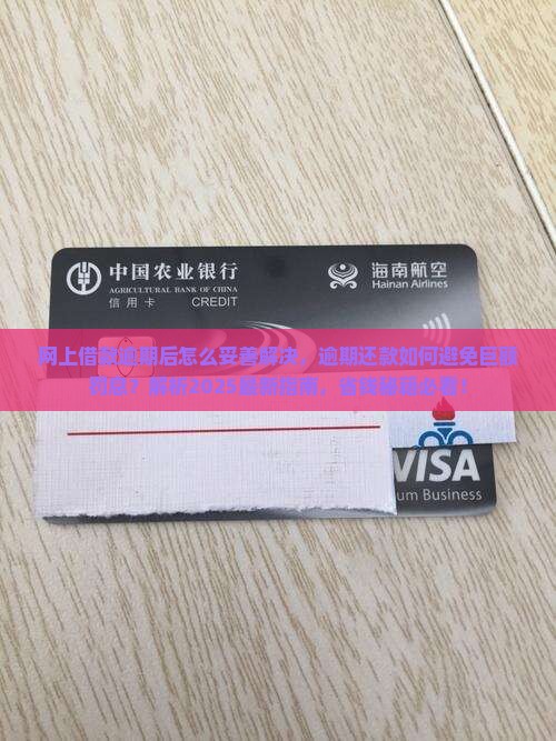 网上借款逾期后怎么妥善解决
