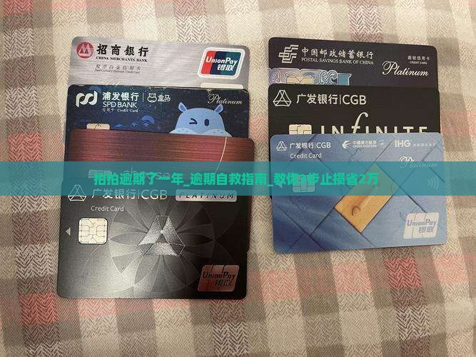 拍拍逾期了一年
