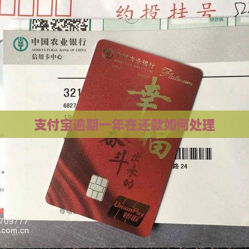 支付宝逾期一年在还款如何处理