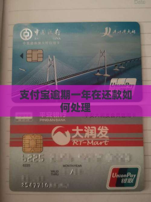 支付宝逾期一年在还款如何处理