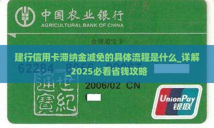 建行信用卡滞纳金减免的具体流程是什么