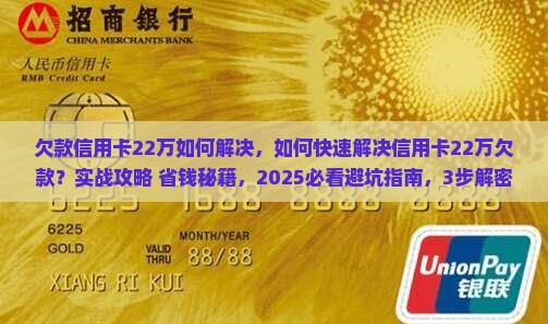 欠款信用卡22万如何解决