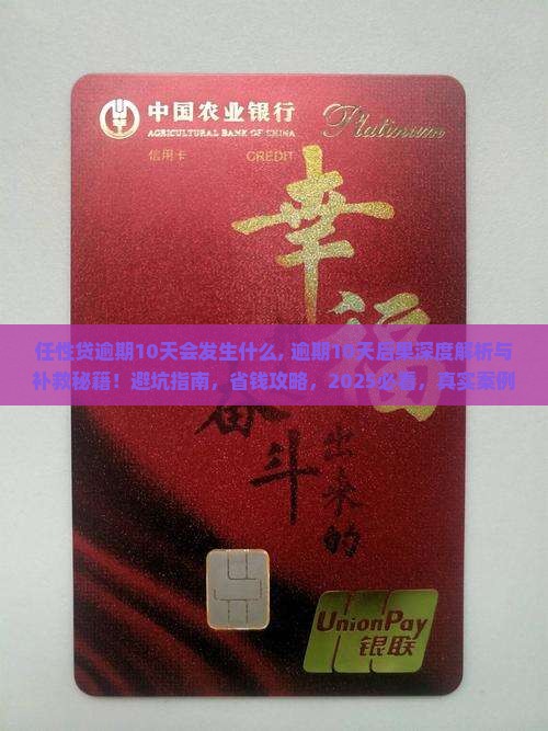 任性贷逾期10天会发生什么