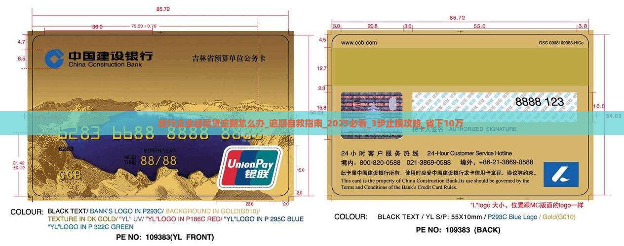 建行企业经营贷逾期怎么办