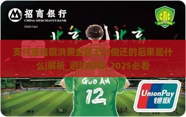 支付宝包银消费金融无力偿还的后果是什么