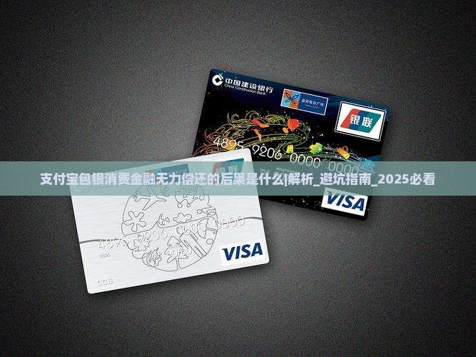 支付宝包银消费金融无力偿还的后果是什么