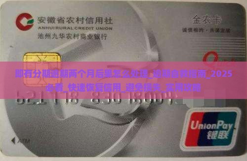 即有分期逾期两个月后果怎么处理