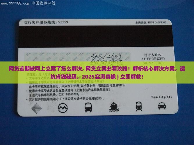 网贷逾期被网上立案了怎么解决
