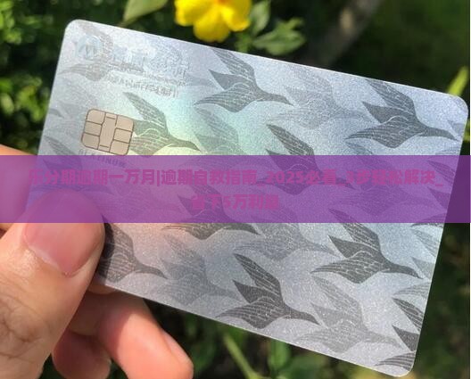 乐分期逾期一万月怎么办怎么办呢